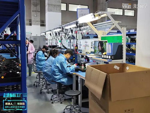 吴晓波 机器人会是下一个十万亿级产业吗